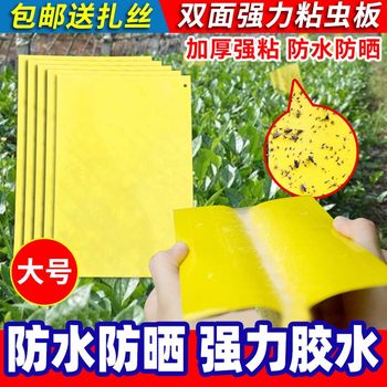Sticky insect panel yellow board double -sided small flyworm moth

