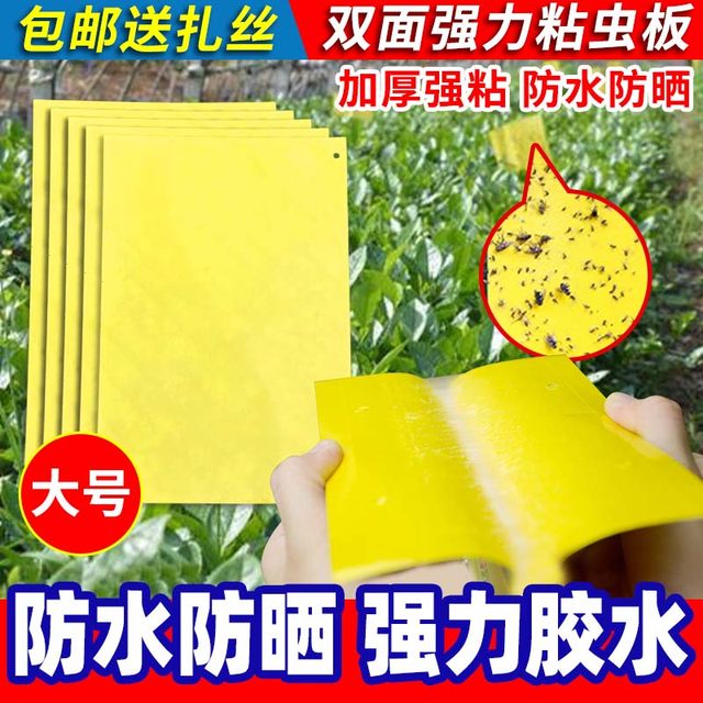 Yellow board double-sided sticky board insect trap blue board paper sticker yellow flying insect small black fly sticky fly trap sticky board moth