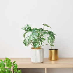 Artificial Green Plant Tabletop Potted Plant Nordic Style White Monstera Plant Office Home Living Room Decoration Bonsai Art373