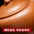 Guyuetang Yixing ban đầu khoáng tím đất sét ấm trà nguyên chất handmade ấm trà kung fu trà bộ trà nồi đơn thanh lịch mũ ấm tu sa 