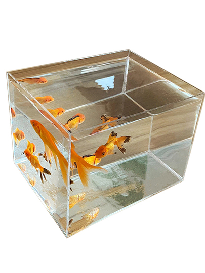 Vivaria アクリル魚鉢 - デスクトップ用小型金魚鉢