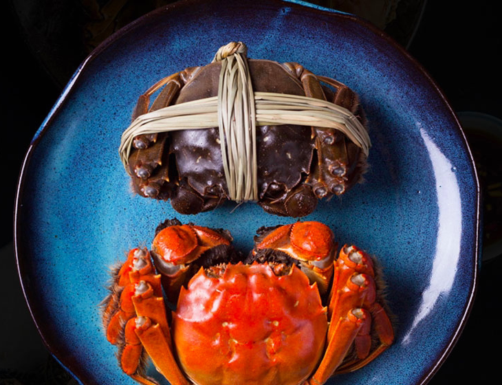 鲜香大闸蟹,美味又营养(图6) 鲜香大闸蟹,美味又营养(图6)