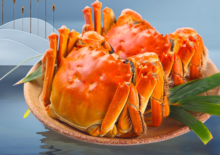 鲜香大闸蟹,美味又营养(图1) 鲜香大闸蟹,美味又营养(图1)