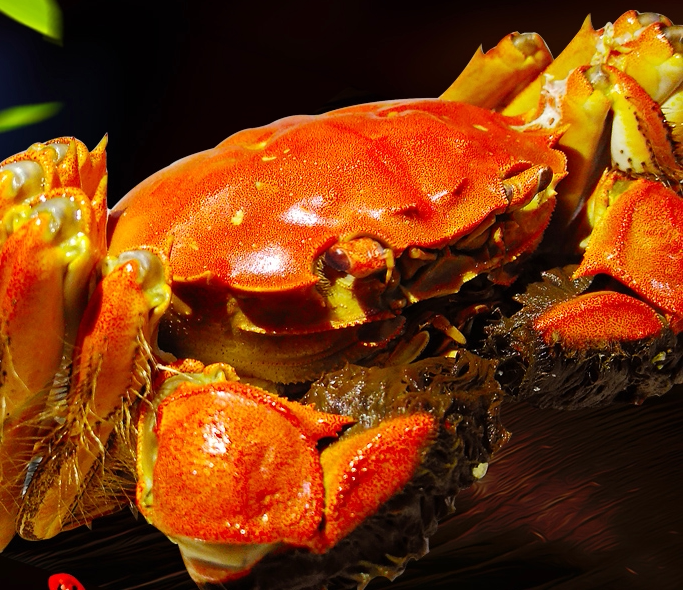 鲜香大闸蟹,美味又营养(图3) 鲜香大闸蟹,美味又营养(图3)