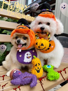 
Beartoffypet pet cat and dog Halloween cute dress up pumpkin witch hat bib latex sound toy