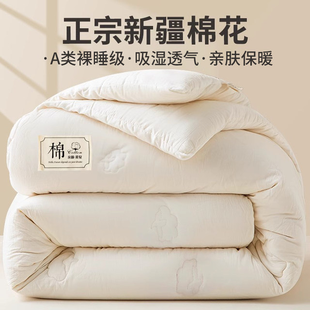 Winter Xinjiang cotton quilt winter quilt dormitory single student thickened warm spring and autumn quilt core 2025 new