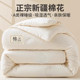 Winter Xinjiang cotton quilt winter quilt dormitory single student thickened warm spring and autumn quilt core 2025 new