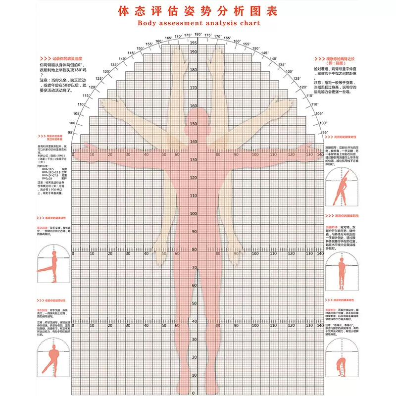 Jf体态评估图身体评估表健身瑜伽站姿体位评估系统壁纸体