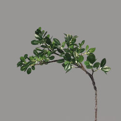 Artificial Milan Leaf, Green Plant Home Decoration, Fake Flower Floor Decoration, Milan Leaf Branch Shape, Banyan Leaf