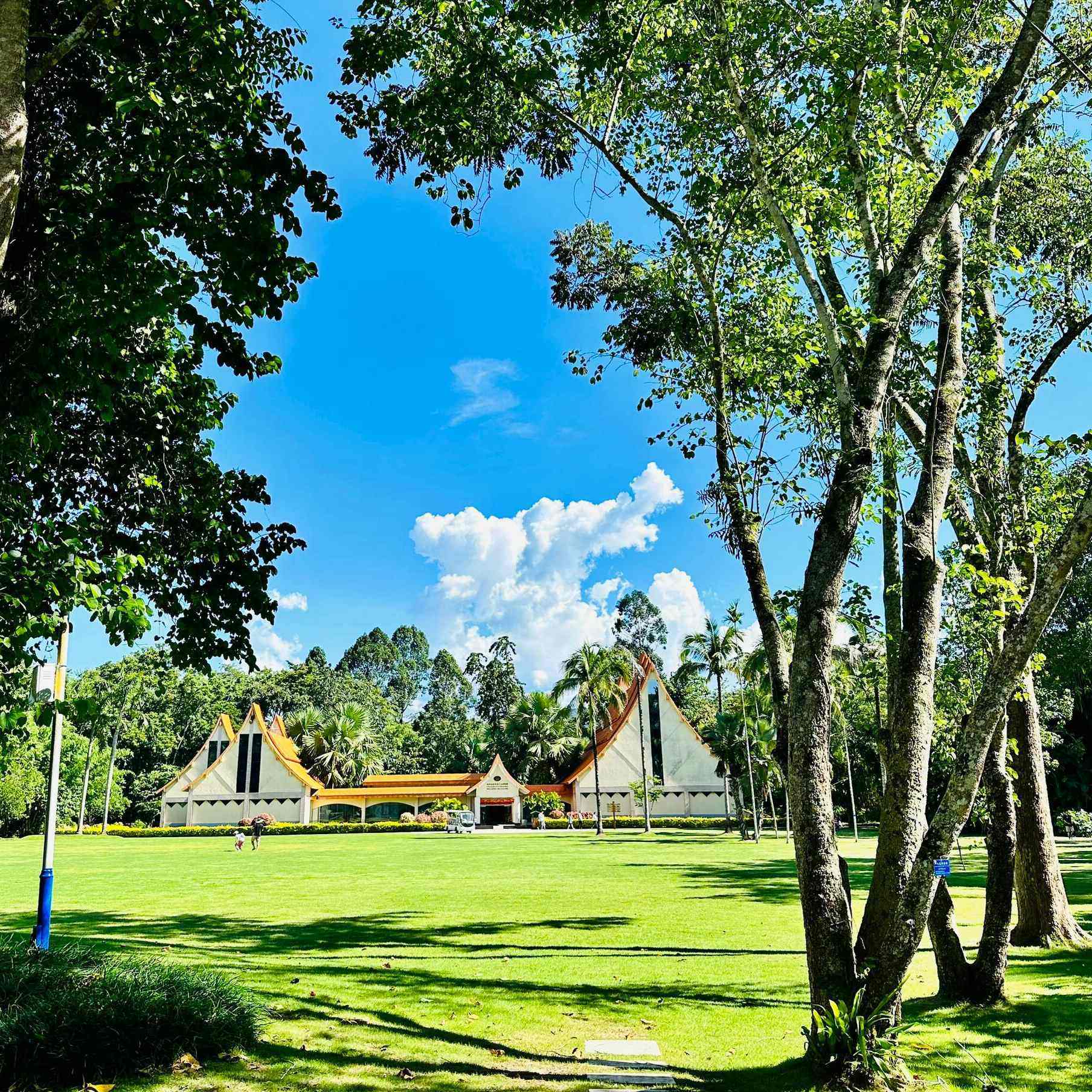 私家团|西双版纳傣族园+中科植物园+植物园夜游一日游|精品纯玩