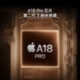 Apple/苹果 iPhone 16 Pro Max