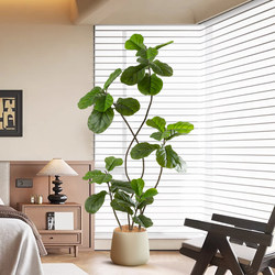 Simulated Ficus Leaves for Living Room, High-Quality Light Luxury Green Plants, Indoor Balcony Window-Side Floor-Standing Decorative Ornaments, Large Artificial Trees