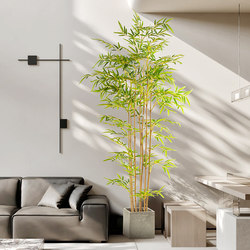 Nordic ins Style Artificial Bamboo Potted Plant for Living Room Indoor New Chinese Zen Landscaping Fake Flower Decorative Ornament Green Plant