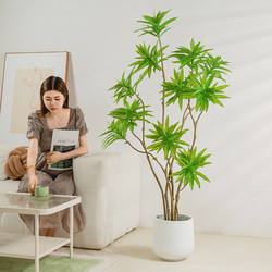 Simulated High-End Lily Bamboo Light Luxury Green Plant Artificial Plant Living Room Tv Cabinet Floor Decoration Fake Potted Plant Ornament