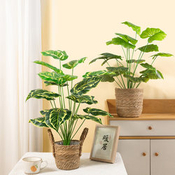 Wabi-Sabi ins Style Artificial Green Plant Desktop Nordic Monstera Palm Mini Potted Plant Decoration Trendy Ornament