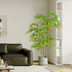 Lemon Tree Simulated Green Plants Classy Accessible Luxury Fake Green Plants Clothing Store Window Decoration Bionic Plants Floor-Standing Ornaments Flowers