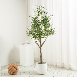 Artificial Green Plant Olive Tree Fake Tree Plant Large Floor-Standing Ornament for Living Room Nordic Indoor Window Display Potted Plant