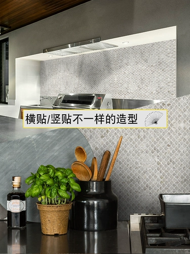 Натуральная раковина мозаика самозавира