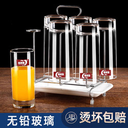 Green Apple Glass Cup for Home Use, High Temperature Resistant Drinking Cup, Milk Cup, Simple Transparent Living Room Tea Cup with Cup Holder