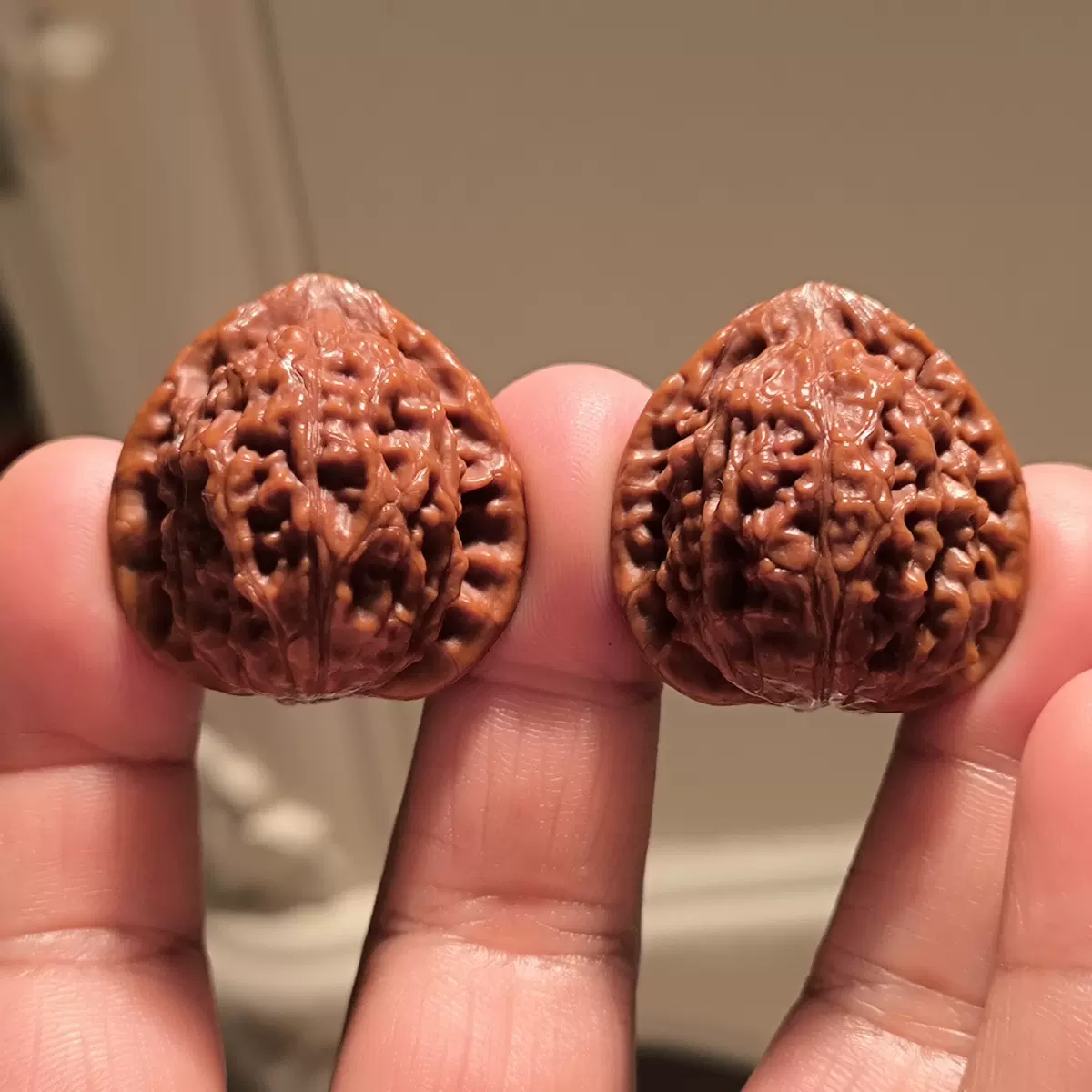 文玩堂：驢打滾の「獅子頭」胡桃（無修稀少品种） 文玩堂：驢打滾の「獅子頭」胡桃（無修稀少品种）