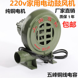Speed-Adjustable Blower 220V Stove Blower Household Small Blower Barbecue Combustion Aid Household Blower