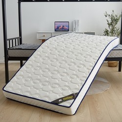 Latex Memory Foam Mattress Home Tatami Mat Soft Cushion Rental Dormitory Thin Mattress Single Student Thickened 10cm