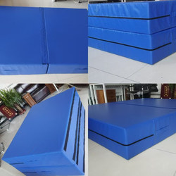 Acrobatic Mat, Foldable Waterproof Climbing Protection Mat, Martial Arts Dance, Taekwondo, Sports Training, High Jump Sponge Mat