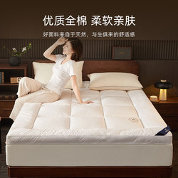 Five-Star Hotel Soy Fiber Antibacterial Mattress Home Soft Cushion Single and Double Student Dormitory Mattress