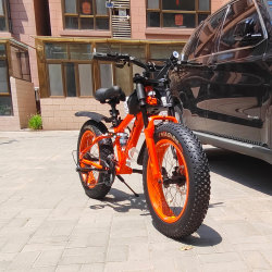 26/24/ 20inch Large Tires 4.0 Ultra-Wide Beach Snow Mountain Bike Off-Road Variable Speed Double Shoulder Double Shock Absorption Bicycle