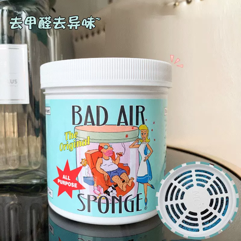 美国Bad Air Sponge空气净化器除甲醛新汽车新房除异味甲醛清除剂-Taobao