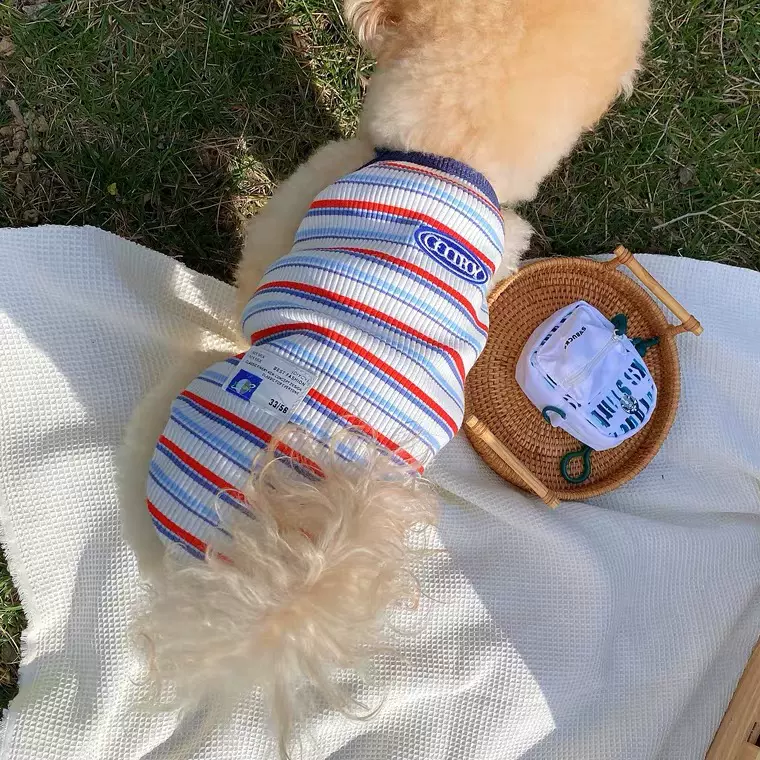 小型犬小狗背心泰迪比熊狗狗短袖大型犬金毛