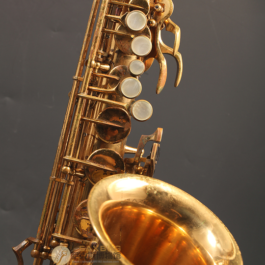 Yanagisawa A3 E-Flat Alto Saxophone - Professional Brass