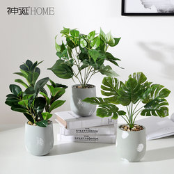 ins Nordic-Style Artificial Plant Potted Decoration Indoor Living Room Monstera Leaf Decorative Bonsai Trendy Fake Flower Green Plant