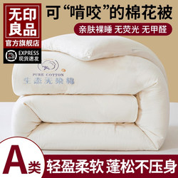 Muji Xinjiang Cotton Quilt Core Autumn and Winter Quilt Thickened Warm All-Cotton Pure Cotton Student Dormitory Spring and Autumn Quilt