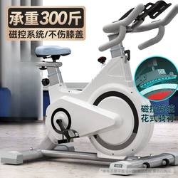 Dynamic Bicycle, Home Fitness Equipment, Gym-Specific Indoor Exercise, Weight Loss, Silent Smart Power Bicycle
