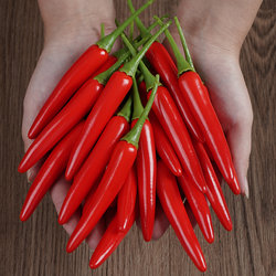 Simulated Chili Pepper Model, Pickled Pepper, Green Pepper, Bird's Eye Pepper, Fake Vegetables, Photography Props, Farmhouse Decoration Ornaments