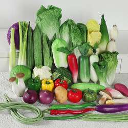 Simulated Foam Pu Vegetable Model: Cabbage, Green Vegetables, Potato, Onion, Tomato, Pepper, Lotus Root, Early Childhood Cognitive Teaching Aids