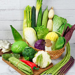 Simulated Vegetable Model Pu Chili Pepper Lettuce Baby Bok Choy Eggplant Onion Mushroom Broccoli Prop Model Room Decoration