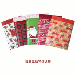 In-Stock Color-Printed Waterproof and Shock-Resistant Kraft Paper Bubble Envelopes for Express Packaging, Gift Foam 210X235Mm