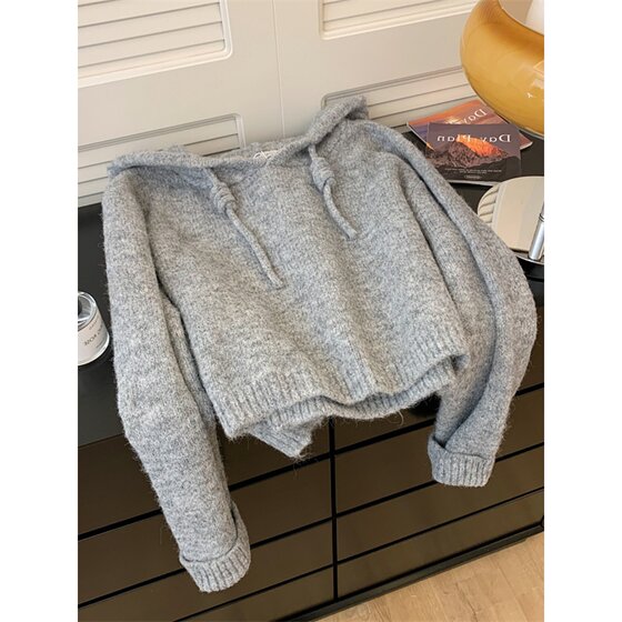 
Brand counter high-end women's foreign trade short hooded sweater for women in autumn and winter thickened small pullover knitted top