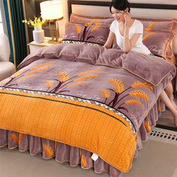 Winter Double-Sided Milk Velvet Four-Piece Bedding Set, Thickened Coral Fleece Duvet Cover, Fleece-Lined Bed Sheet, Winter Bed Skirt Style