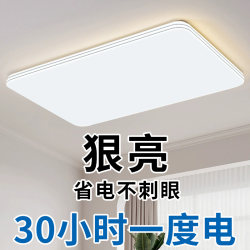 2026 New Model Living Room Ceiling Light Led Eye-Protection Modern Minimalist Main Light for Home Room Bedroom Lighting