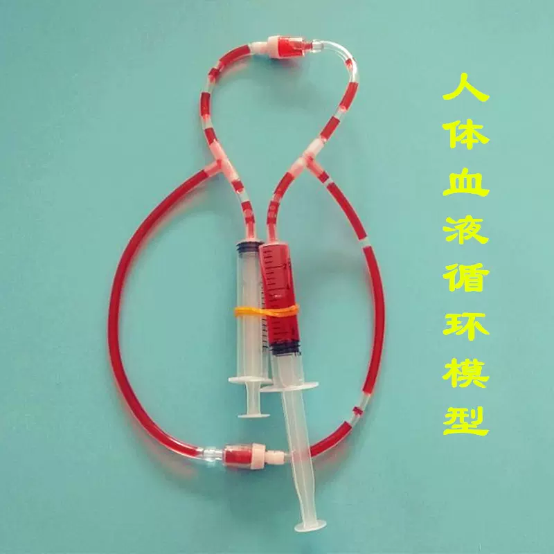 STEAM创客生理认知科学小实验材料生物教具自制人体血液循环