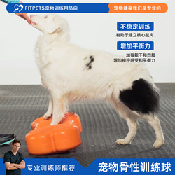 Dog Fitness Ball American Fitpaws Fitbone Bone-Shaped Ball with Non-Slip Bumps for Core Strength Training