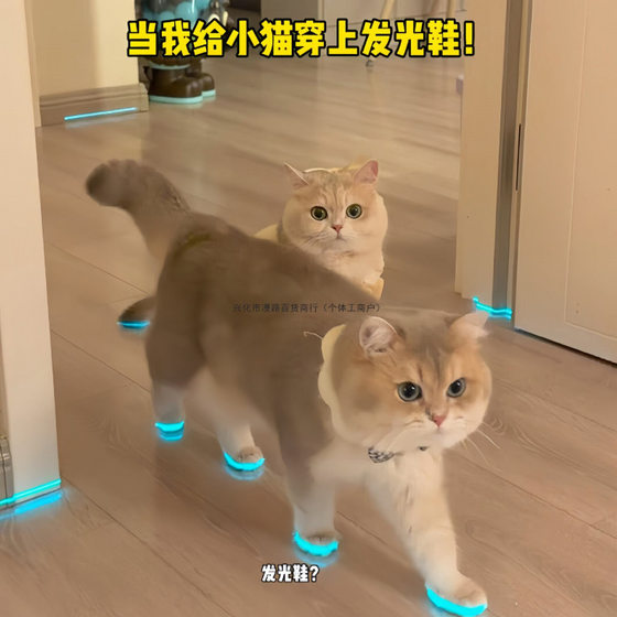
Cat glowing shoes pet dog shoes whistle luminous children's toys night photography accessories cat dress