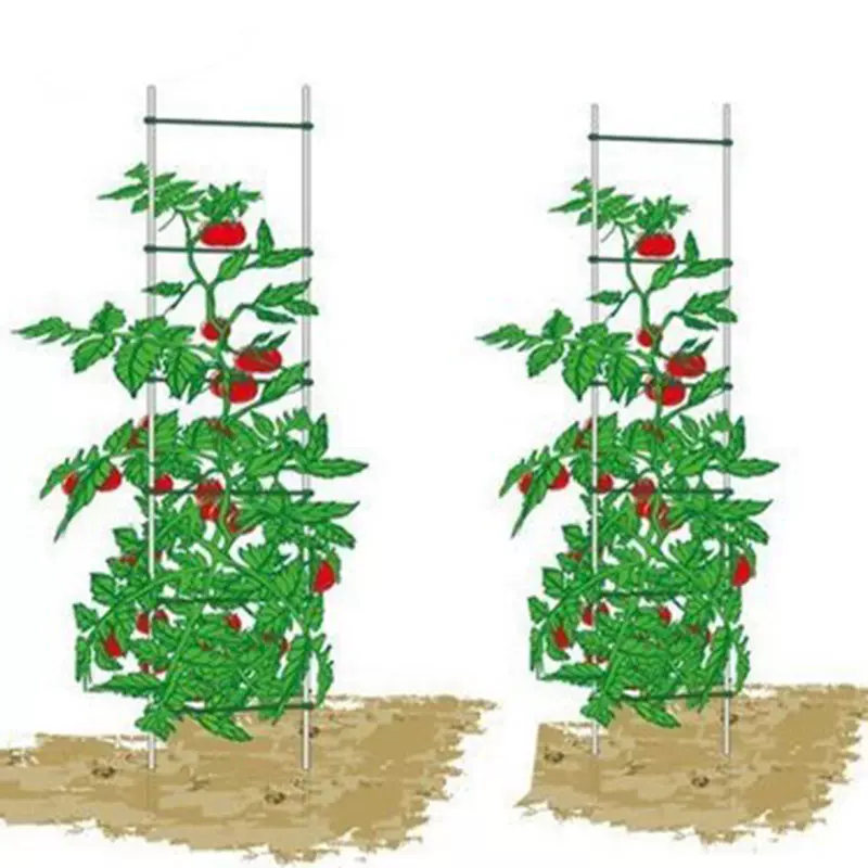 辣椒架番茄支架茄子架黄瓜植物爬藤架月季铁线莲牵