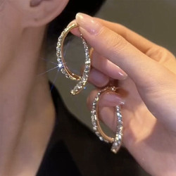 New Trendy Korean Style Internet Celebrity 925 Silver Needle Earrings for Women, French Style ins Niche Design, High-End Light Luxury Earrings