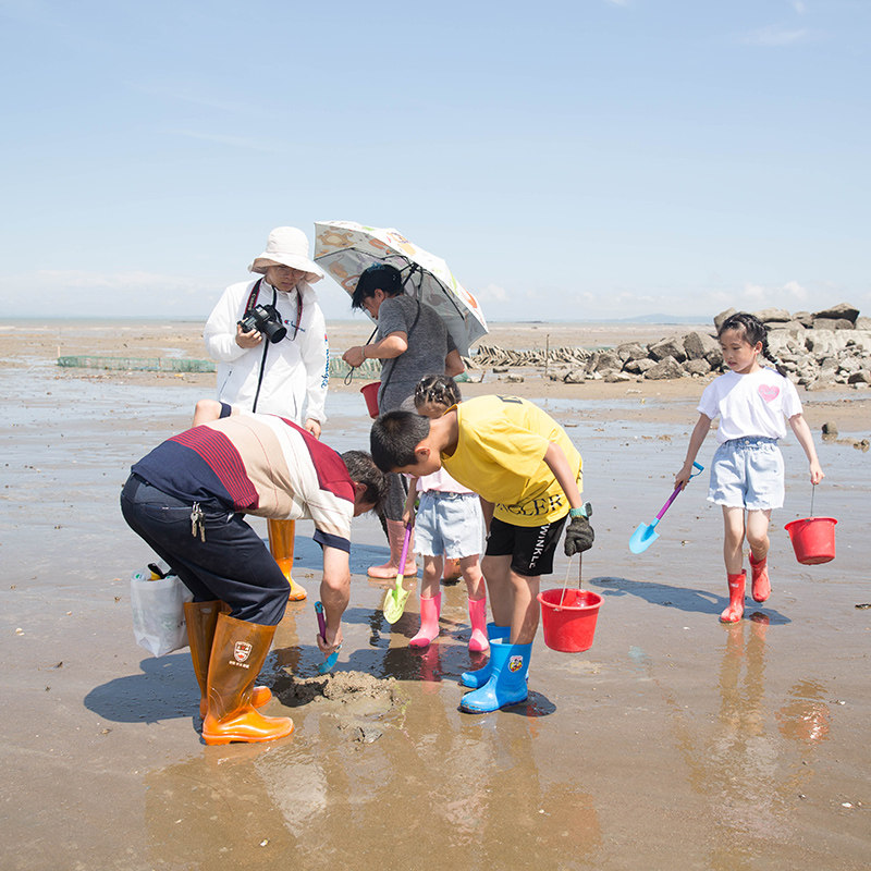 厦门旅游滩涂赶海一日游纯玩帆船出海体验上门接送赠午餐