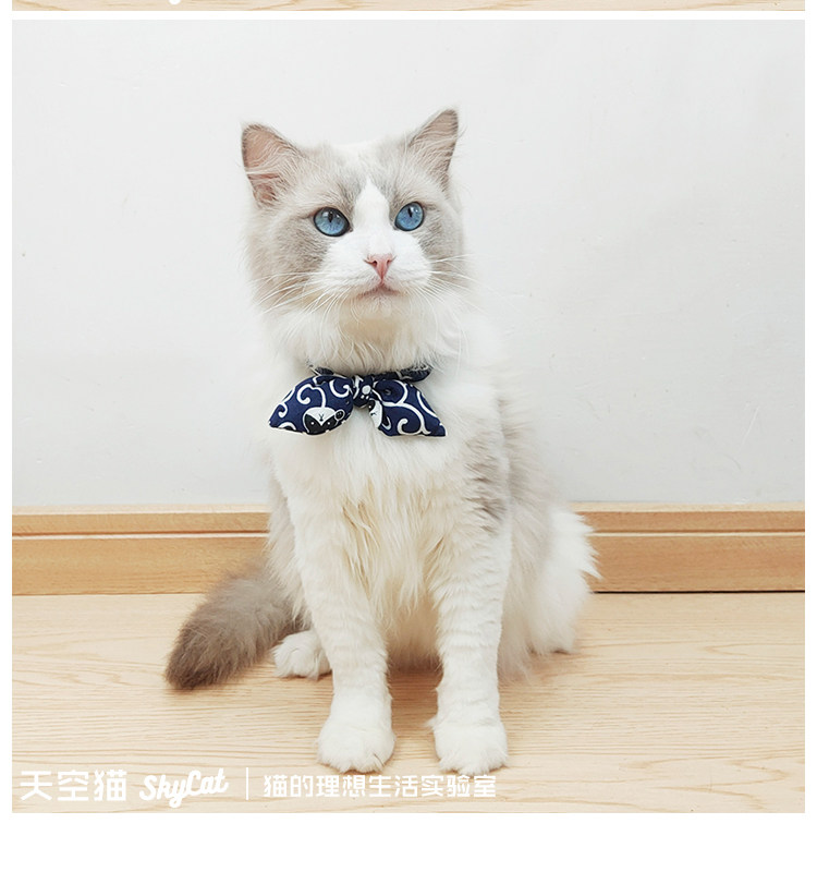 O1CN01DewA1D1Yqsta4ekQz_!!