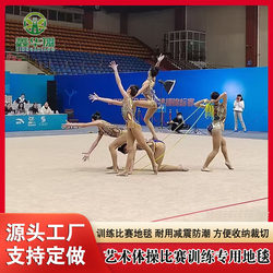 Rhythmic Gymnastics Mat, Cheerleading Mat, Aerobics Mat, Free Gymnastics Mat, Martial Arts Routine Competition Mat, Dance Mat, Gymnastics Carpet